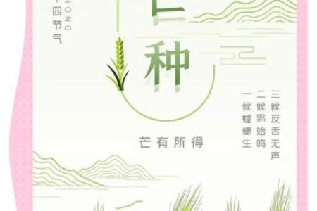 2024年芒种的财神方位在哪？芒种节气的三个物候现象