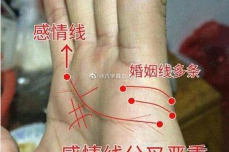 属鼠O血型的人性格与事业姻缘