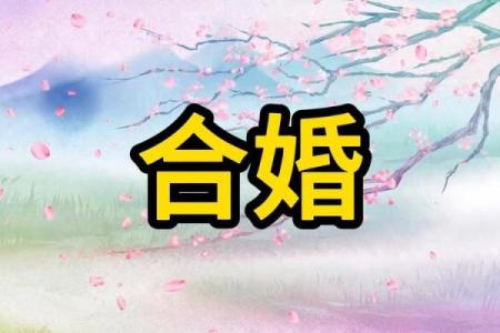 两人合八字