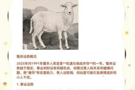91年属什么生肖配对