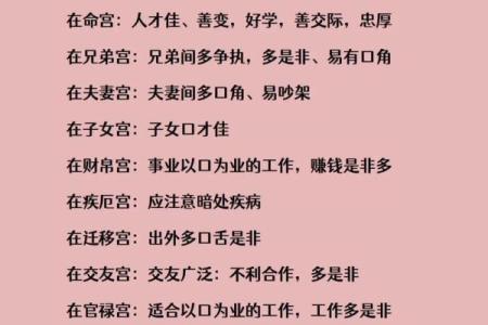 紫薇斗数性取向