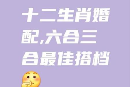 生肖和血型完美匹配你是哪种组合