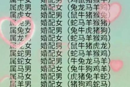 12生肖婚姻最佳配对 12生肖婚姻最佳配对表大全
