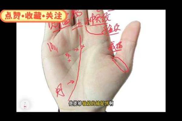 看手相算命：第六课 实际看