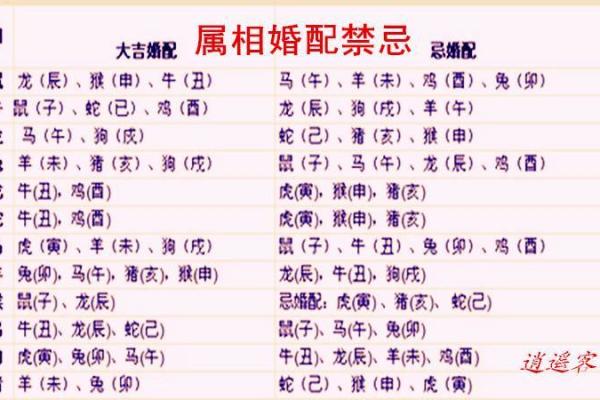 女兔男羊生肖配对姻缘 属兔女与属羊男婚姻配对详解