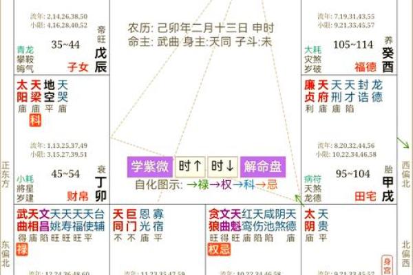 紫薇星入兄弟宫旺科