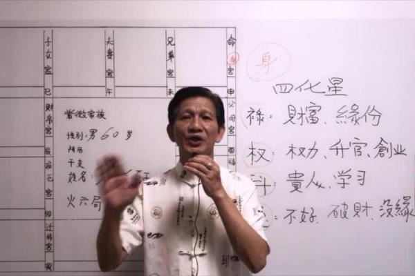 庄式紫薇斗数排盘