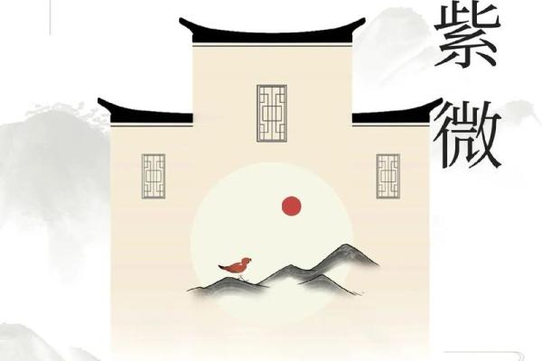 庄式紫薇斗数排盘
