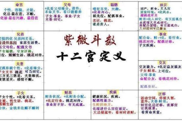 紫薇斗数看何时买车