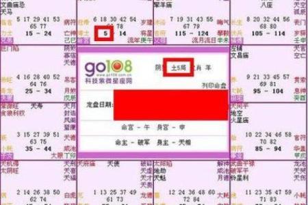 紫薇星入兄弟宫旺科