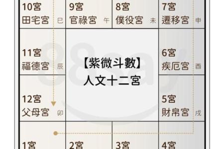 紫微斗数怎么看流年正缘 紫微斗数怎样看流年？