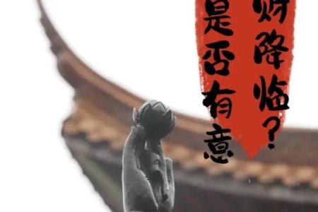 塔罗牌测试，看你2月财运情况如何？