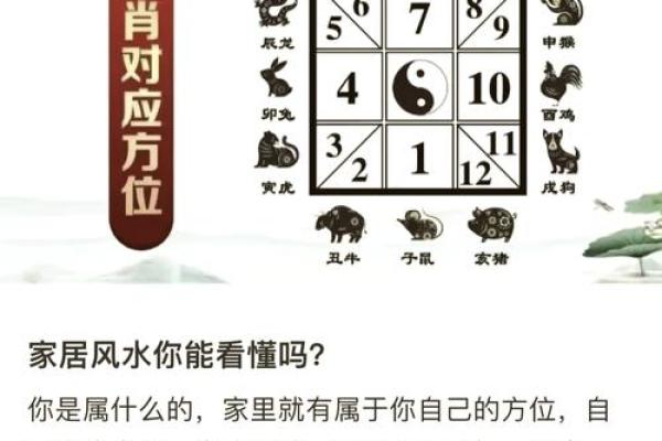 今日属蛇方位吉凶查询