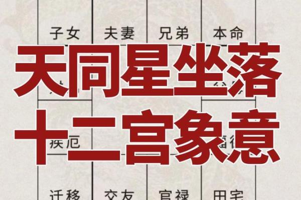 紫微斗数科星有哪些,紫微斗数十二星