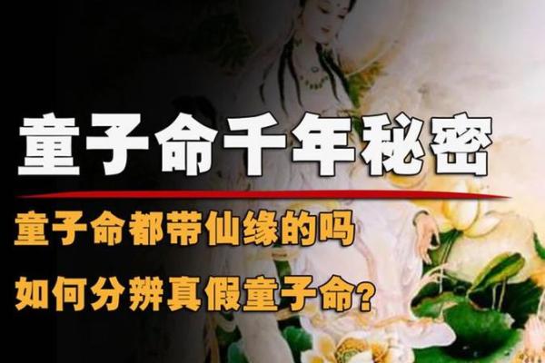 童子命算命能算出来吗