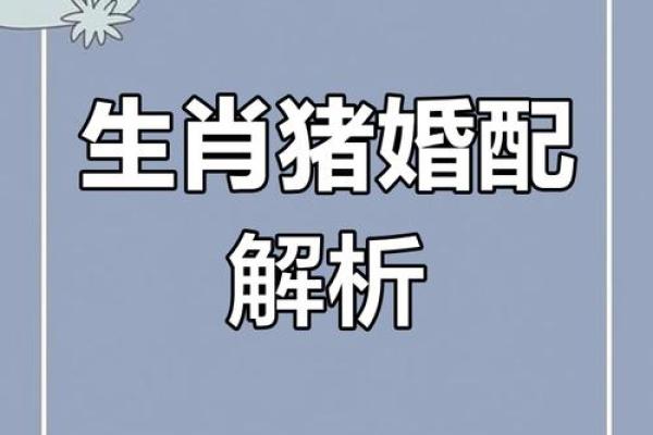 属猪的女人和什么属相最配对 属猪的女人和什么属相最配婚姻