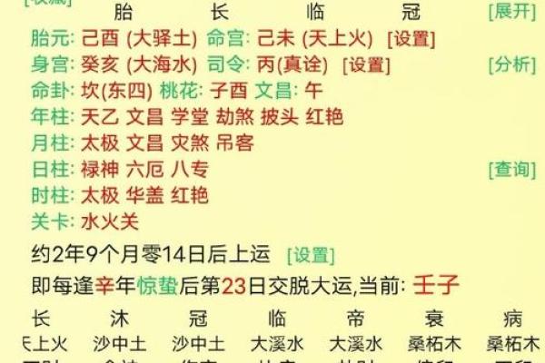八字身旺财杀两透
