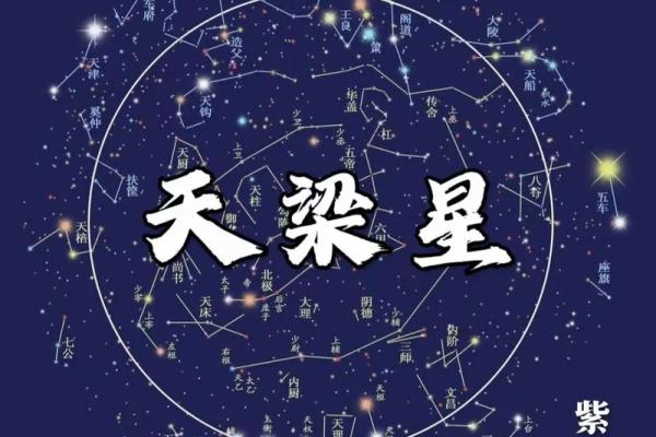 紫薇斗数无主星