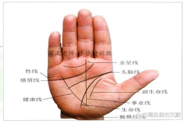 手相流年图算命——百发百中