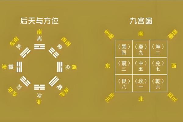 水命人的卧室方位要怎么摆放？水命人的性格特点如何？