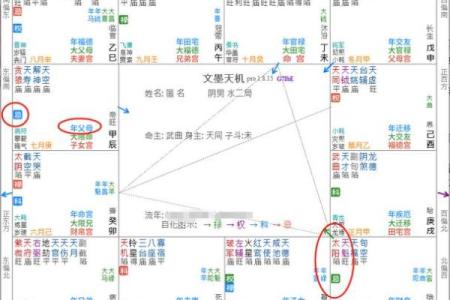 紫微斗数诸星落诸宫之：破军星奴仆宫详解