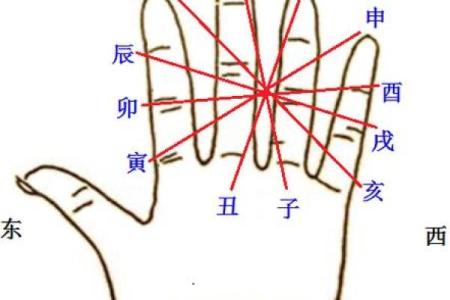 八字天库