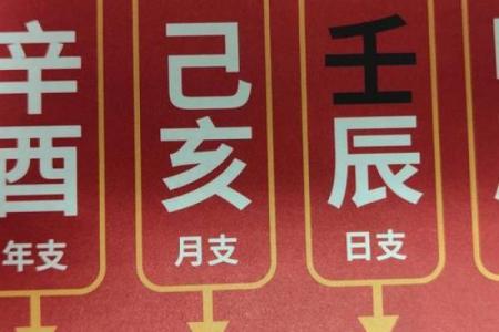 中年人的八字命运分析图