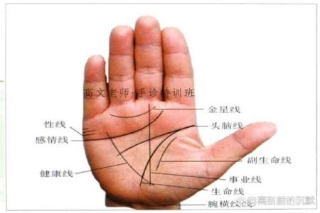手相流年图算命——百发百中