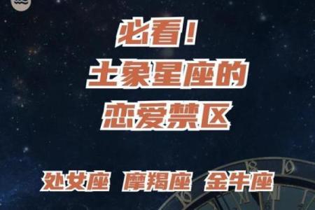 金牛座和哪些星座默契契合