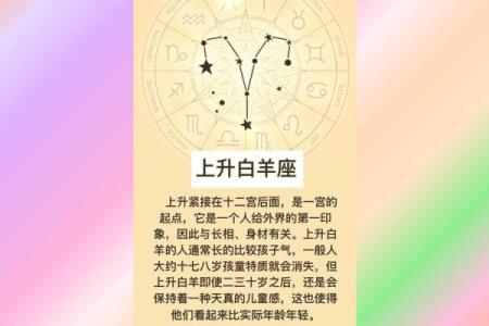 不敢相信爱情的星座运势