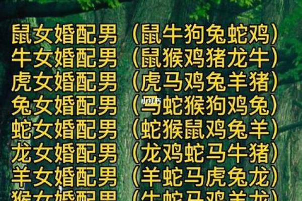 羊跟什么生肖配对最好 生肖羊最佳配对