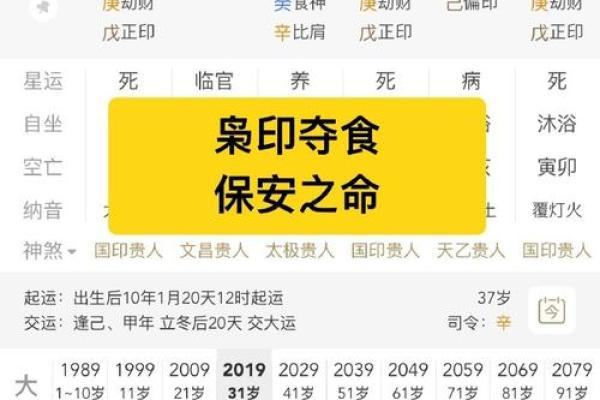 己巳丁丑己丑己巳八字