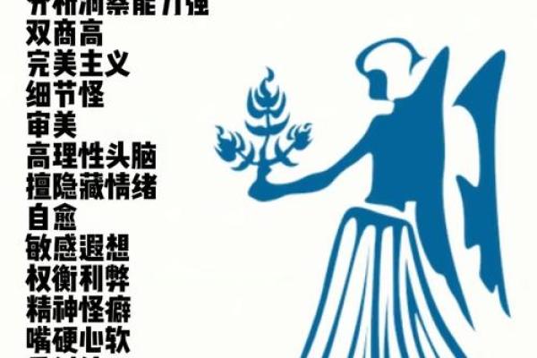 很有计划性的星座有哪些