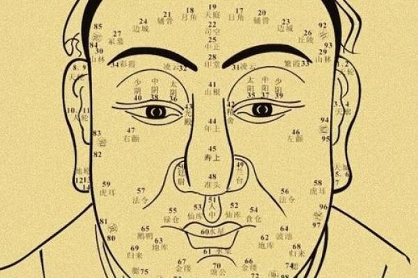 风水面相：耳朵贴脑的女人好不好