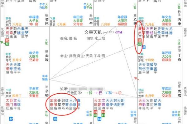 紫薇斗数中最重要的是身宫