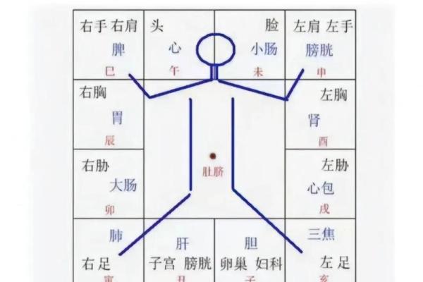 紫薇斗数旺父母