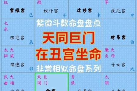 紫微斗数诸星落诸宫之：巨门星子女宫详解