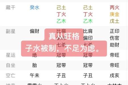 己巳丁丑己丑己巳八字