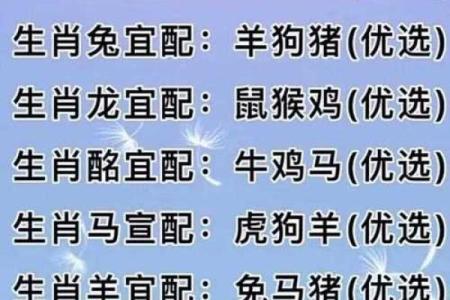 属相婚配十二生肖配对图表，属相婚配十二生肖配对图表图片？