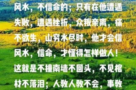 风水实例_就是他更好的风水你怎么看这句话