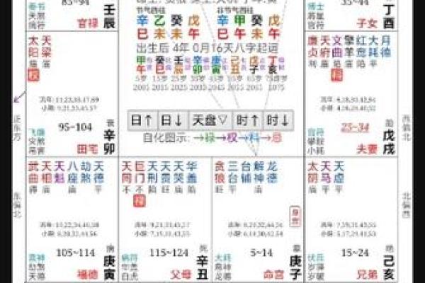 紫薇斗数无桃花
