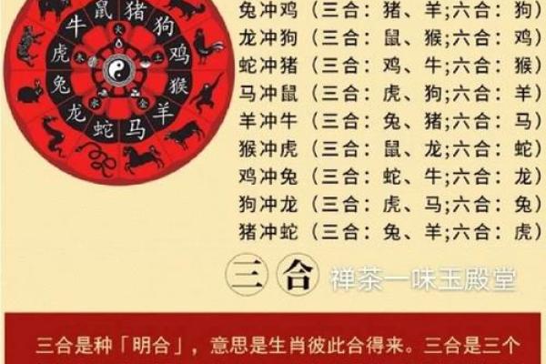 配偶对自己痴情的八字 重感情的男人八字