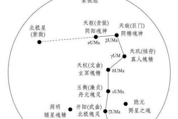紫薇星身上有北斗标志吗