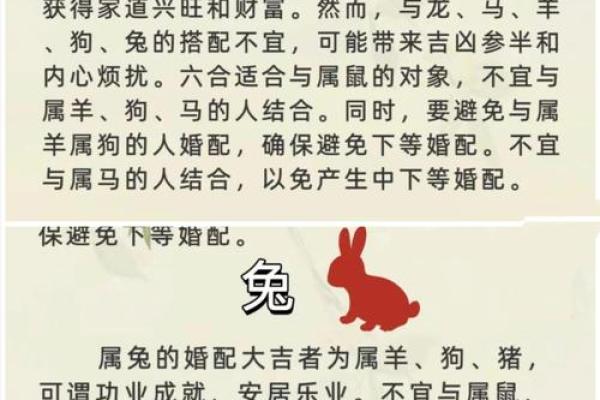 属兔的富豪出生在几月 属兔大富大贵的吉日出生 属兔的富豪出生在几月 属兔大富大贵的吉日出生