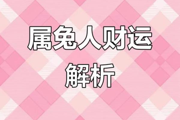 87兔和92猴的八字合不合