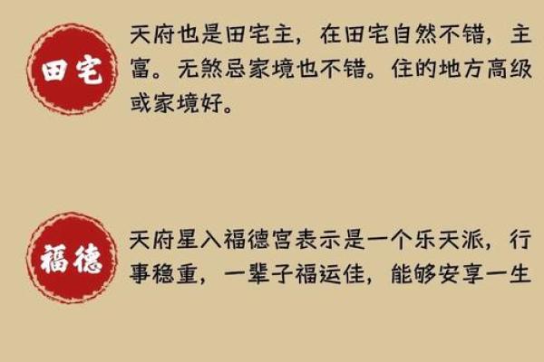 亨贞紫薇斗数