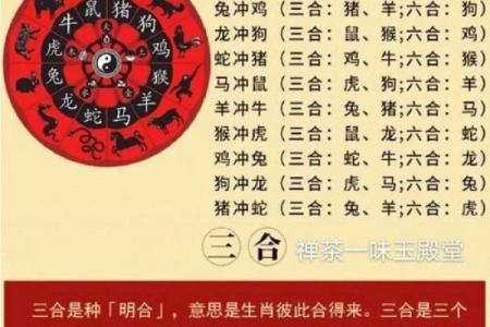 配偶对自己痴情的八字 重感情的男人八字