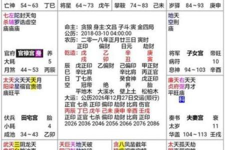 紫薇斗数命理学05