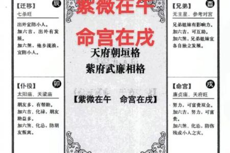 紫薇斗数是什么意思