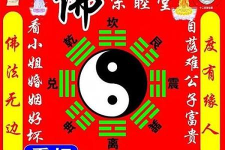 八卦与八字